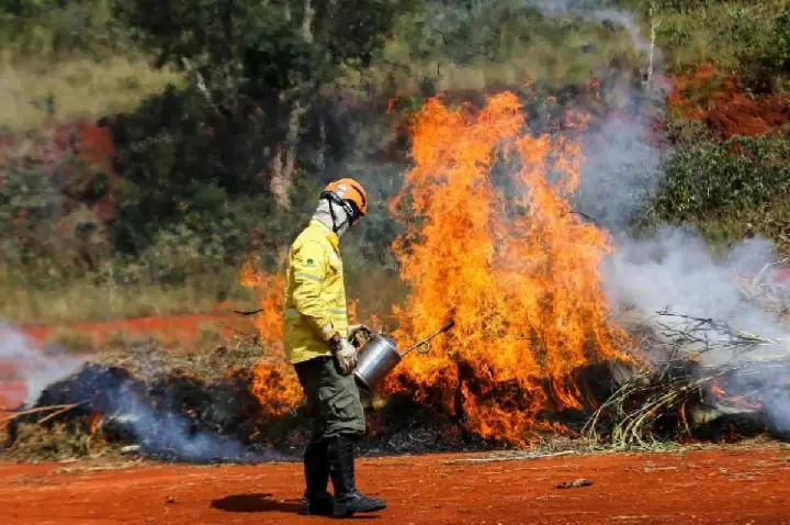 Ação humana é a principal causa de incêndios