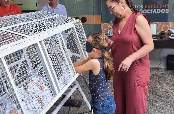 Galeria de Imagem