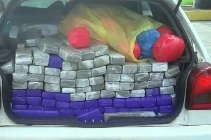 Adolescente ao volante assusta, freia e revela meia tonelada de maconha