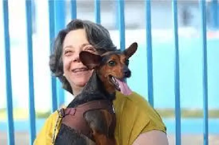 Alesp aprova e Tarcísio vai avaliar sepultar pets com tutores