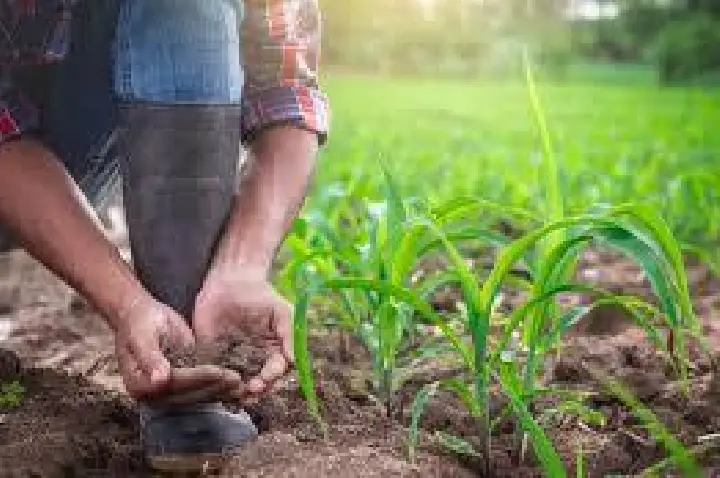 ALI Rural do Sebrae-SP tem inscrições abertas na região