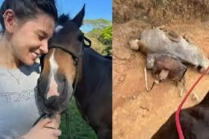 Ana Castela quer prisão de 'verme' após morte de cavalo no Vale