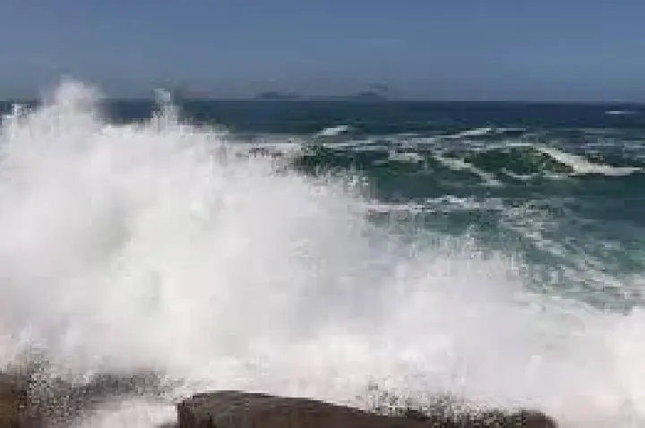 Após ondas gigantes, pinguins aparecem mortos na orla do Rio