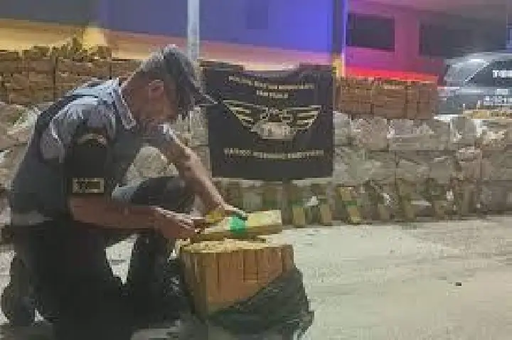 Apreendidos 1.500 kg de maconha na João Baptista Cabral Rennó