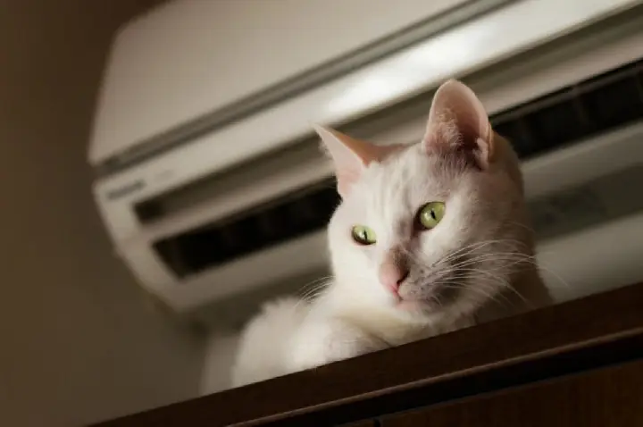 Ar-condicionado: como acertar a temperatura nos dias mais quentes