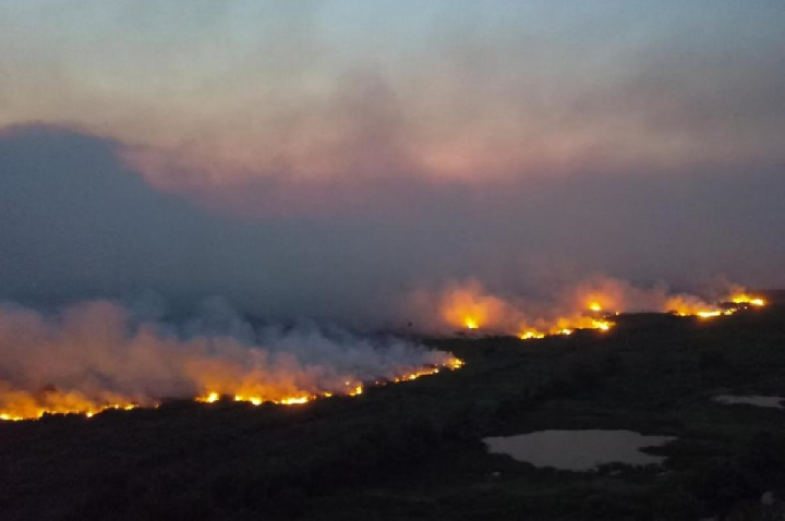 Área queimada no Brasil cai 58%, um ano após incêndios históricos