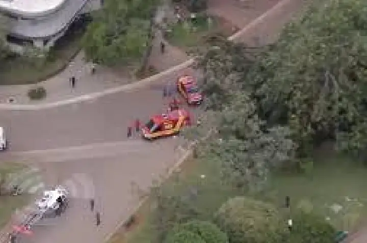Árvore de grande porte cai no parque Ibirapuera e atinge mulher