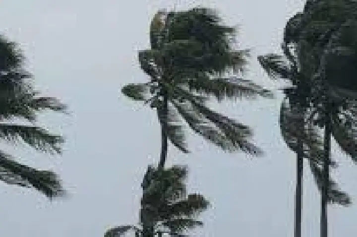 ATENÇÃO: Defesa Civil alerta para ventos de 80 km/h na região