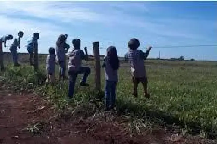 'Banho' de veneno intoxica 12 bebês e 37 crianças no MS