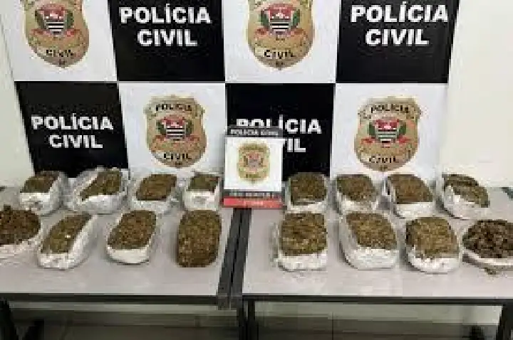 Bauru: Polícia Civil apreende 15 tijolos de maconha em um freezer