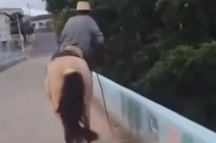 Bêbado andando a cavalo quase cai em rio e viraliza; VÍDEO