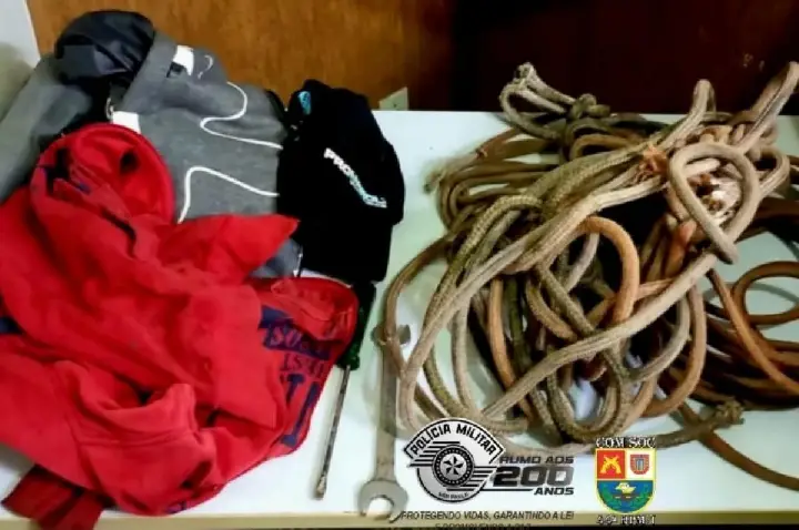 Bezerros são amarados em tentativa de furto e suspeito é preso