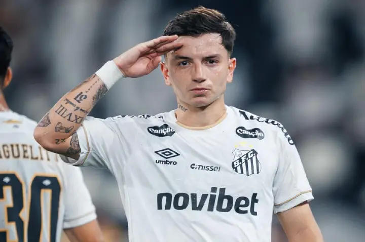 Botafogo aproveita trapalhada nos acréscimos e vence Santos