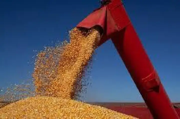 Brasil movimentou quase US$ 3 bi com Irã em 2025