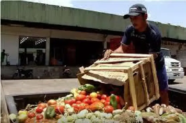 Brasil tem menos insegurança alimentar; 24% ainda passam fome