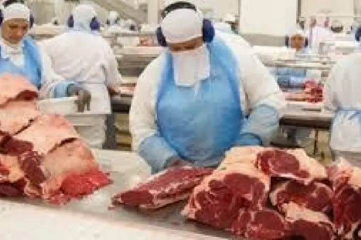 Brasil vai exportar carne bovina para Indonésia