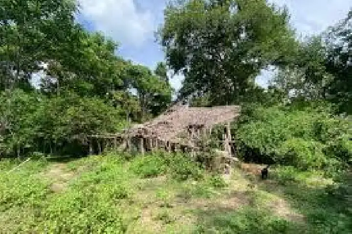 Cães farejadores confirmam passagem de crianças pela 'casa caída'