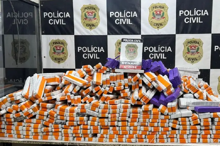Caminhão com carga de alho levava 685 kg de maconha em SP