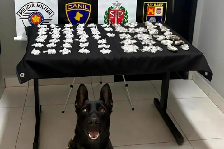 Canil do Baep apreende grande quantidade de drogas em Bauru