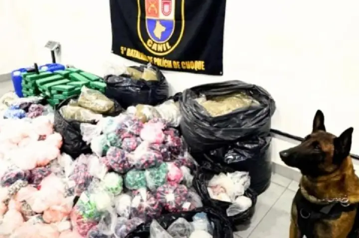Cão farejador ajuda PM a achar depósito com 300 kg de drogas