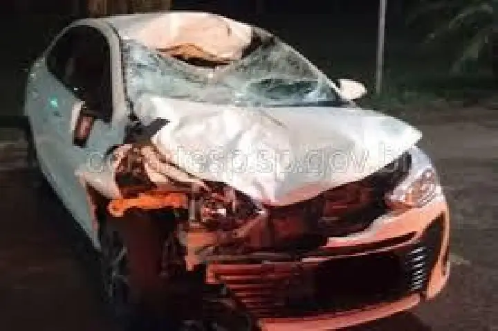 Carreta e carro atropelam cavalos soltos em rodovia de Bauru