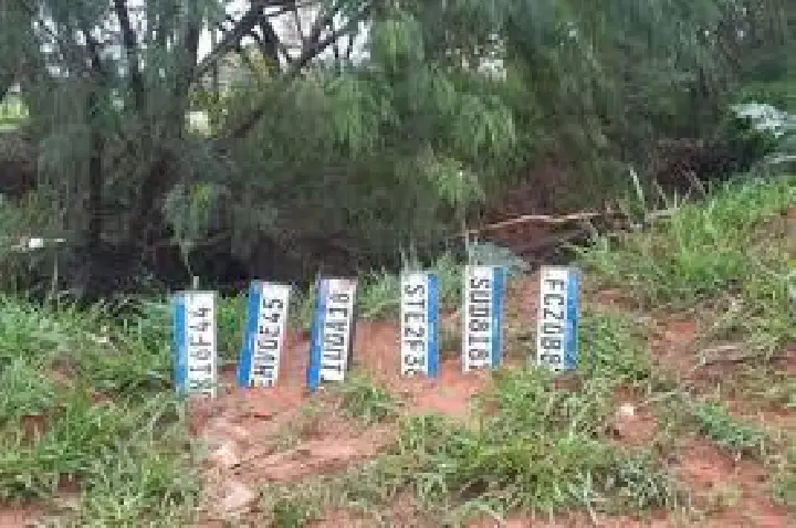 Carros perdem placas na chuva e populares criam “cemitério”