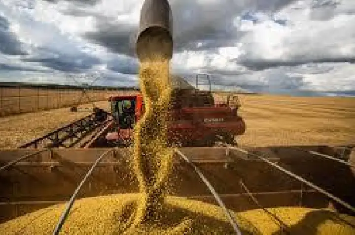 CNI mantém previsão de alta do PIB em 2,3% mesmo com tarifaço