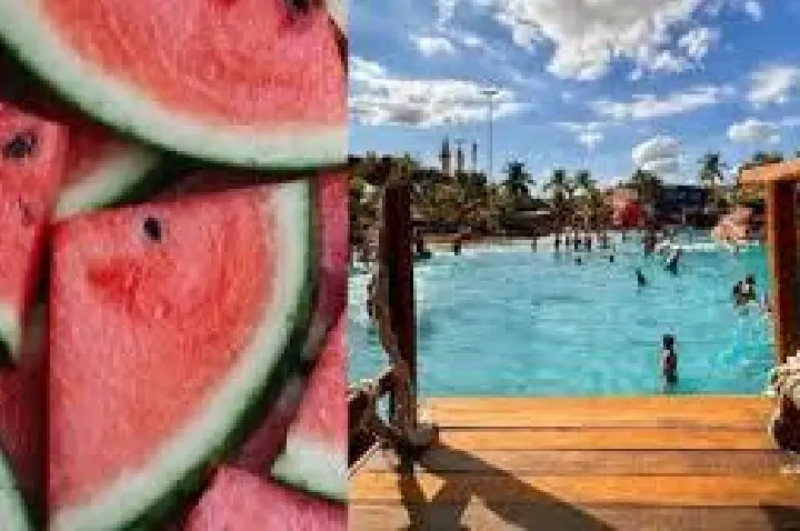 Competição de comer melancia termina em morte de hóspede