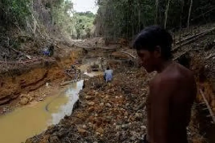 Congresso avança com anistia a desmatamento em terra indígena