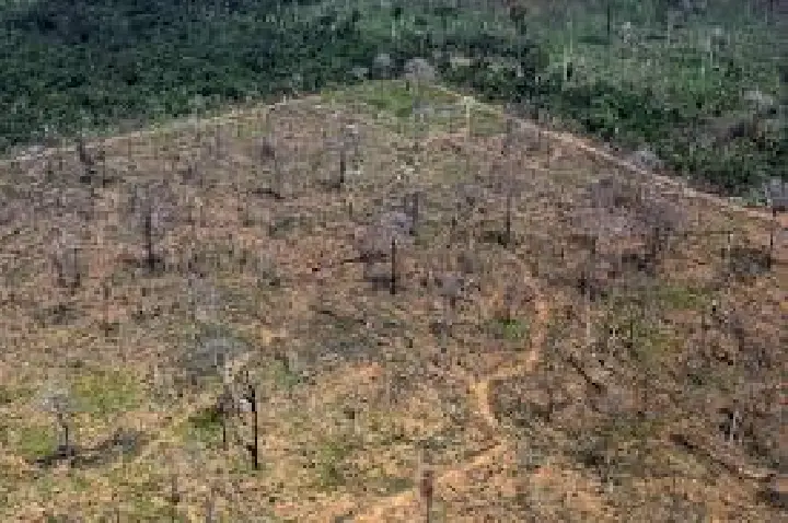 Desmatamento cresce 27% na amazônia e cai 10% no cerrado