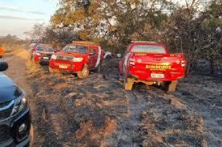 Dois funcionários do IBGE morrem ao combater incêndio florestal