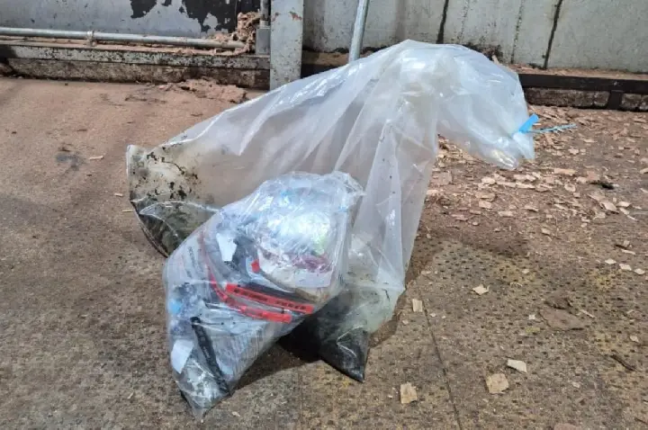 Droga apreendida pelas forças de segurança é incinerada