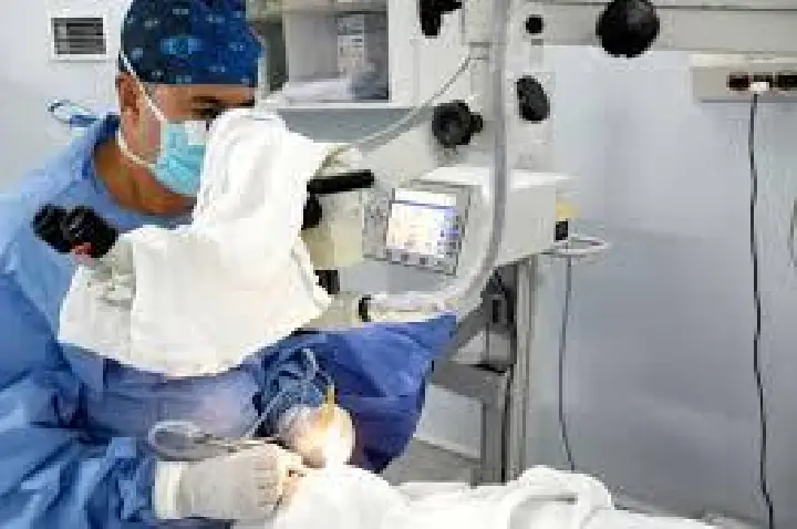Emenda garante 700 endoscopias e reduz fila no HE