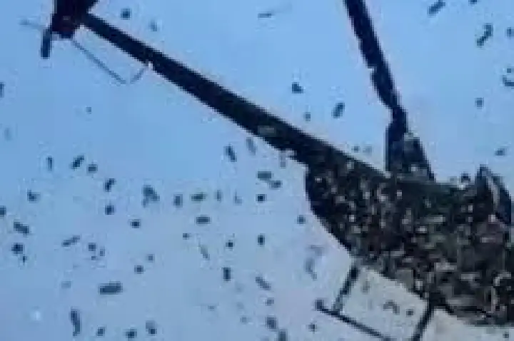 Empresário organizou 'chuva de dinheiro' para seu funeral; VÍDEO