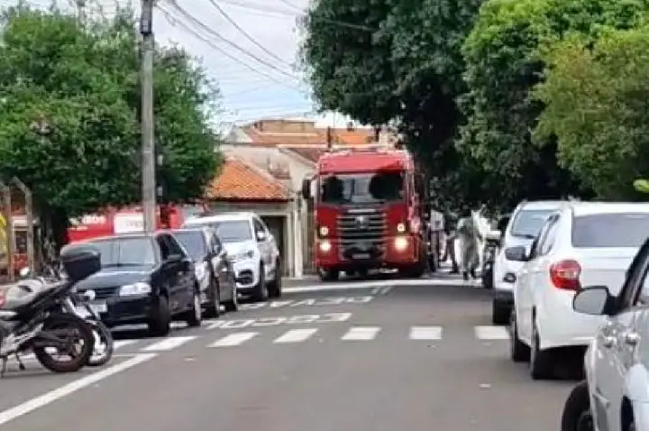 Enxame de abelhas ataca eleitores e deixa 9 feridos em Bauru