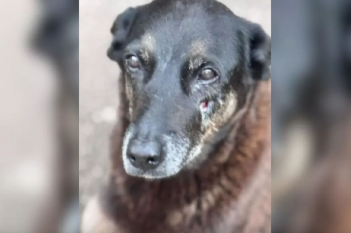 Famílias dos suspeitos dizem que sofrem ameaças: 'São inocentes'