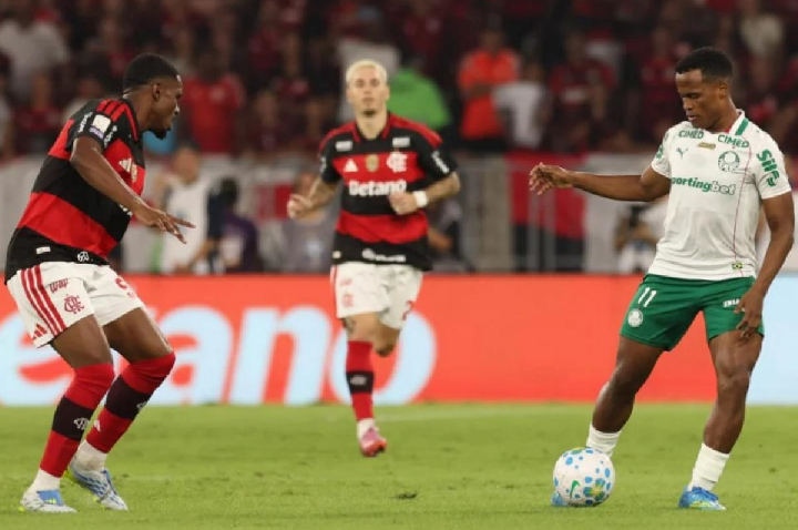 Flamengo alega benefício ao Palmeiras e pede critérios claros