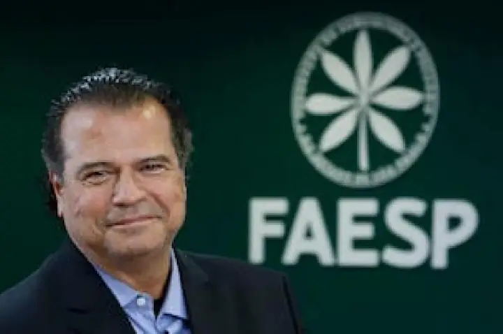 Força do campo: agronegócio puxa para cima resultado do PIB 2025