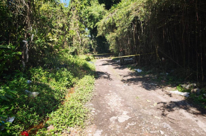 GCM encontra corpos em área de mata na zona leste de São Paulo