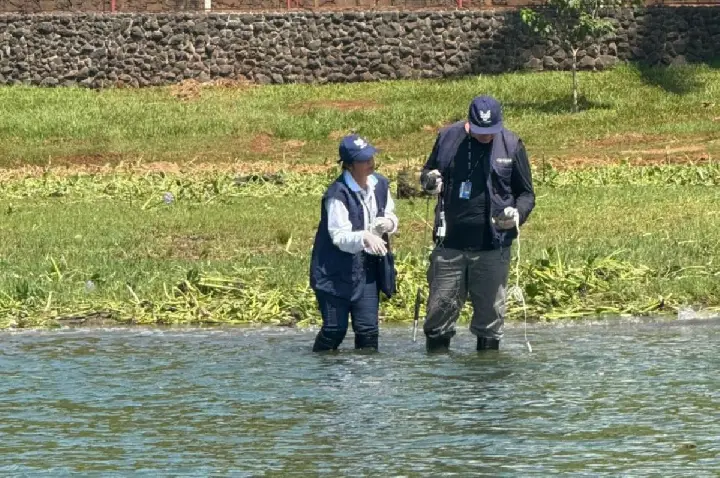 Governo inicia combate às macrófitas que invadem o Tietê