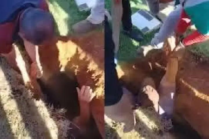 Homem cai em cova coberta só com grama; VÍDEO