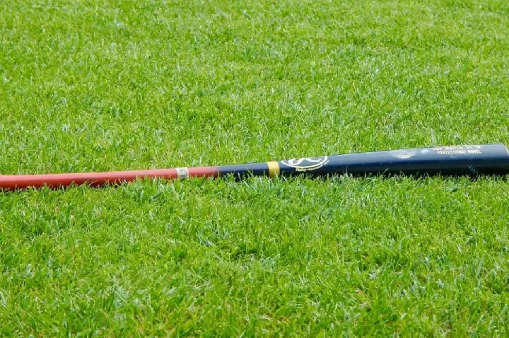 Homem é suspeito de matar ex-genro com taco de beisebol