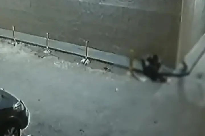 Homem escala prédio e invade apartamento de advogada