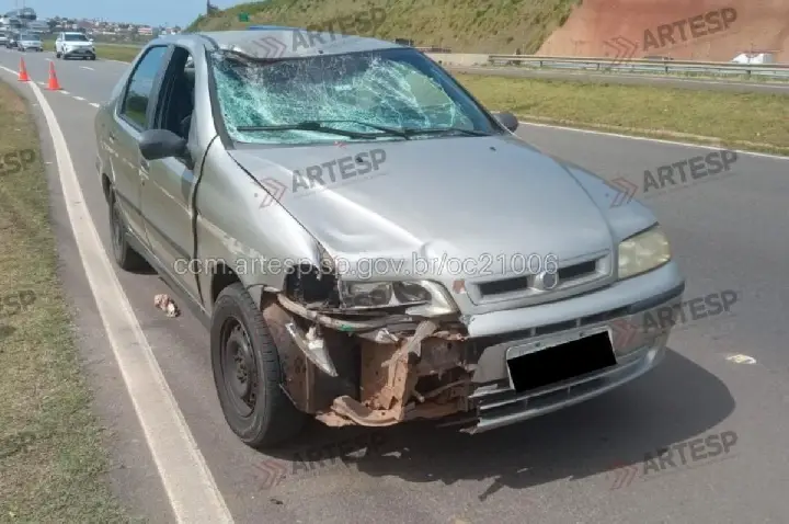 Homem morre após ser atingido por carro na marginal da Castelinho