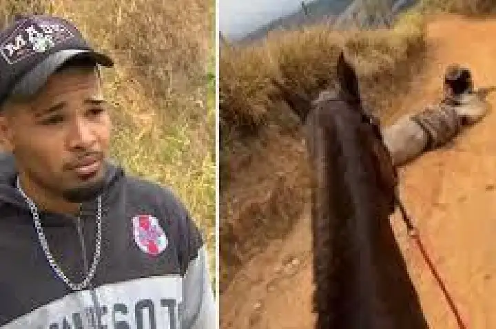 Homem que cortou 4 patas de cavalo é condenado a 11 meses