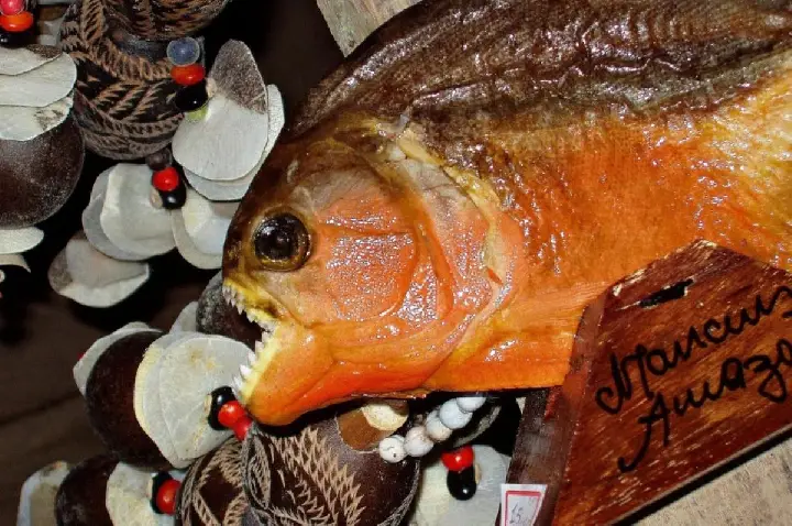 Homem se afoga no Dia das Mães e é devorado por piranhas