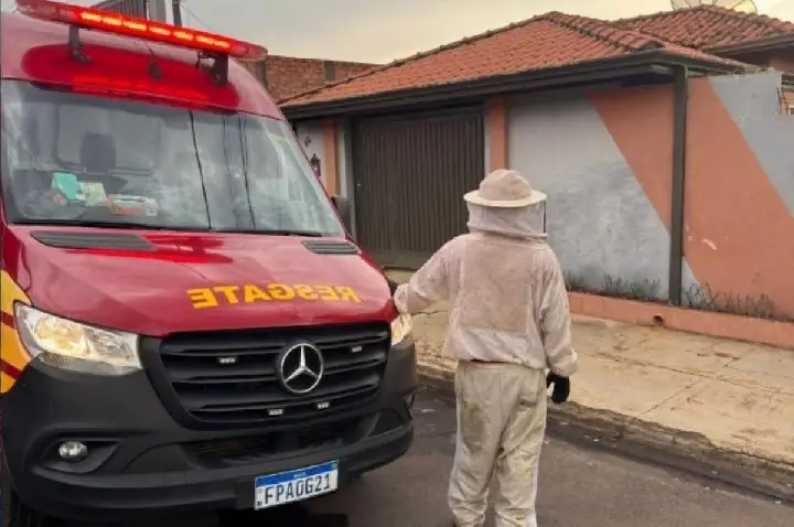 Idosa é salva de ataque de abelhas em Botucatu