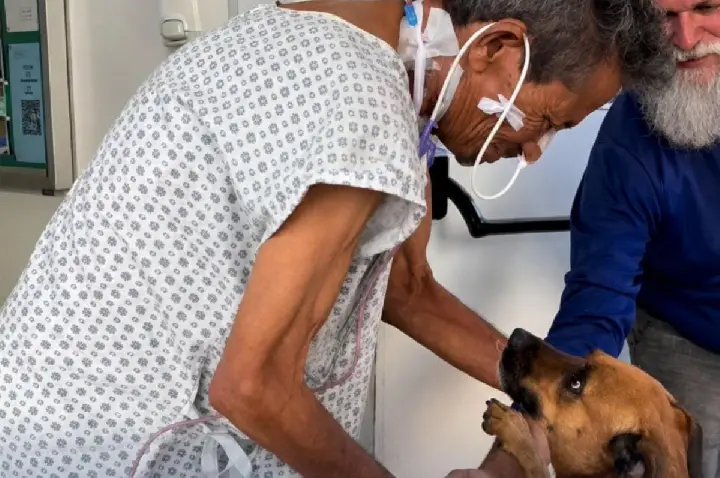 Idoso se emociona ao receber visita de cadela adotada há 1 ano