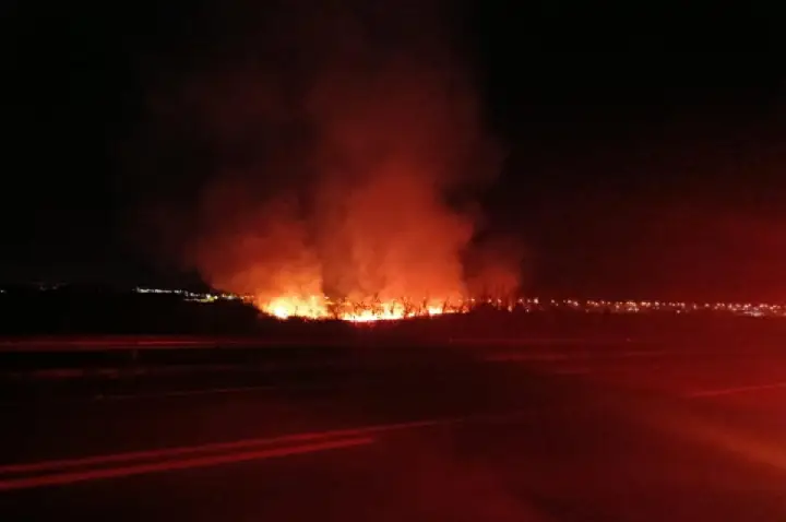 Incêndio atinge mata e chega às margens da SP-461