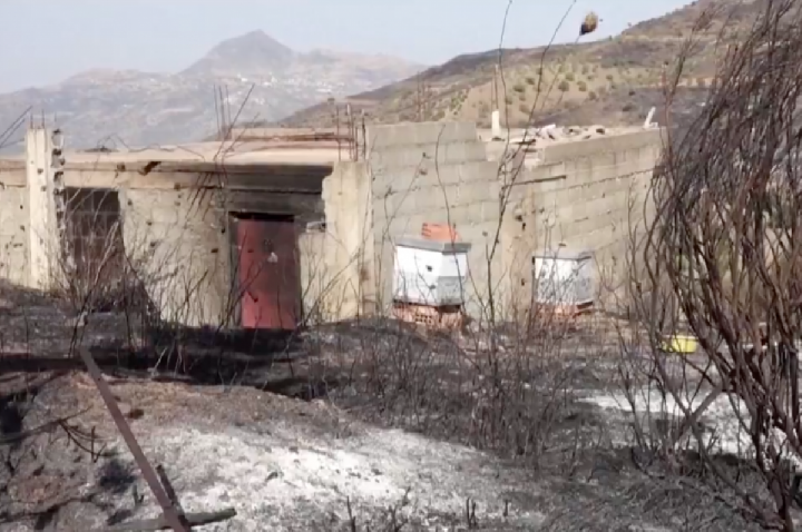 Incêndio em orfanato mata 11 vítimas e fere 19